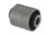 Suspension Bushing Suspension Bushing:5105272AA