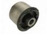 Suspension Bushing:4895090AC