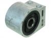 Suspension Bushing:21990368