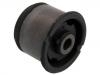 Suspension Bushing Suspension Bushing:55501-4N000